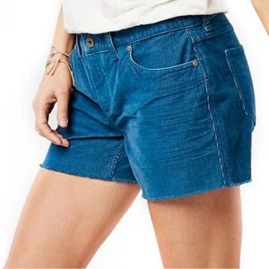 Carve Designs Blue Women's Shorts